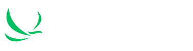 FOREST KAMOGAWA