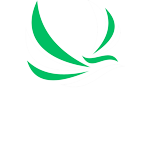 FOREST KAMOGAWA